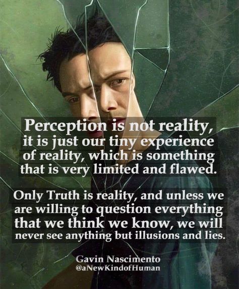 Perception is not reality, it is just our tiny experience of reality, which is something that is very limited and flawed.   Only Truth is reality, and unless we are willing to question everything that we think we know, we will never see anything but illusions and lies.   — Gavin Nascimento   #perception #matrix #deepthoughts #quotes Matrix Quotes, Matrix Theory, Illusion Quotes, Perception Quotes, There Is No Spoon, The Matrix Movie, Question Everything, Knowledge And Wisdom, Philosophy Quotes