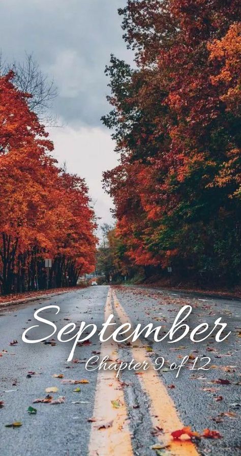 September Chapter 9 Of 12 Wallpaper, Hello September Chapter 9 Of 12, Months Of The Year Wallpaper, September Chapter 9 Of 12, Months Wallpaper, New Month Wishes, Neuer Monat, Hello Wallpaper, September Wallpaper