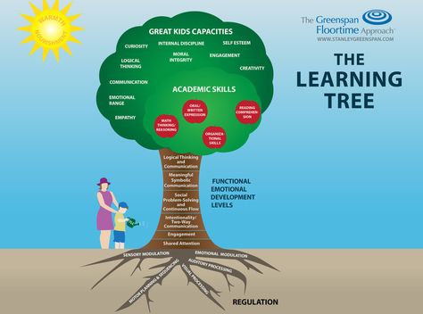 Foundations to learning in the classroom - identifying barriers to learning. Dir Floortime, Tree Model, Challenging Behaviors, Reasoning Skills, Social Emotional Skills, Emotional Skills, Spectrum Disorder, Speech Language Pathology, Teaching Preschool