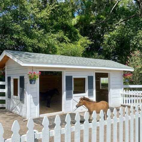 Mini Horse Barn, Miniature Horse Barn, Small Horse Barns, Stable Style, Horse Barn Ideas Stables, Small Barns, Mini Barn, Horse Shelter, Goat Barn