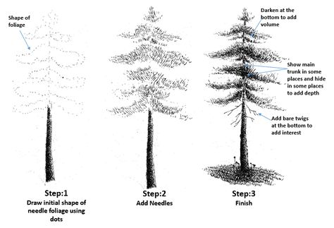 How to Draw Needle Foliage in Pen and Ink | My Pen and Ink Drawings Pine Tree Drawing, Pen And Ink Drawings, Tree Sketches, Nature Drawing, Ink Drawings, Tree Drawing, Landscape Drawings, Ink Illustrations, Realistic Drawings