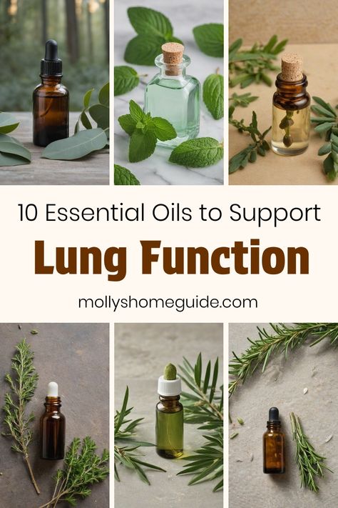 Discover the power of essential oils for your lungs and respiratory system. Ease congestion, fight infection, and reduce inflammation with the best essential oils known for their lung healing properties. Explore natural remedies such as herbs for bronchitis to help detoxify your lungs and promote respiratory health. Unlock the healing power of Essential oils for lungs today to support overall lung health and wellness. Essential Oils For Pneumonia, Herbs For Lungs, Herbs For Lung Health, Lung Healing, Lung Cleanse, Lung Health, Oregano Essential Oil, Lung Infection, Thyme Essential Oil