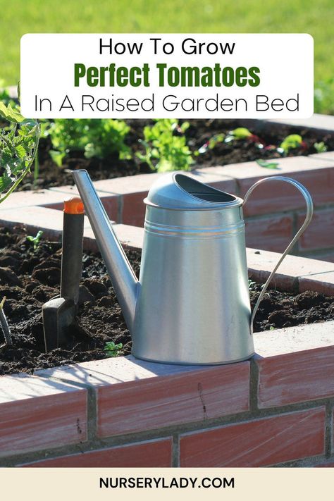 Want to grow perfect tomatoes in a raised garden bed? Discover essential tips for success! From selecting the right soil mix and spacing to optimal watering and sunlight conditions, this guide covers everything you need. Learn how to maximize your raised bed for healthier, more productive tomato plants and enjoy a bountiful harvest! Growing Tomato, Growing Tomato Plants, Raised Bed Garden, Tomato Plant, Tips For Success, Bountiful Harvest, Growing Tomatoes, Tomato Plants, Raised Bed