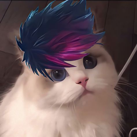 𝑴𝒍𝒃𝒃 𝑪𝒂𝒕 Julian Mlbb, Legend Cat, Legend Wallpaper, Cat Pfp, The Legend Of Heroes, Mobile Legend, Cat Icon, Draw On Photos, Mobile Legends