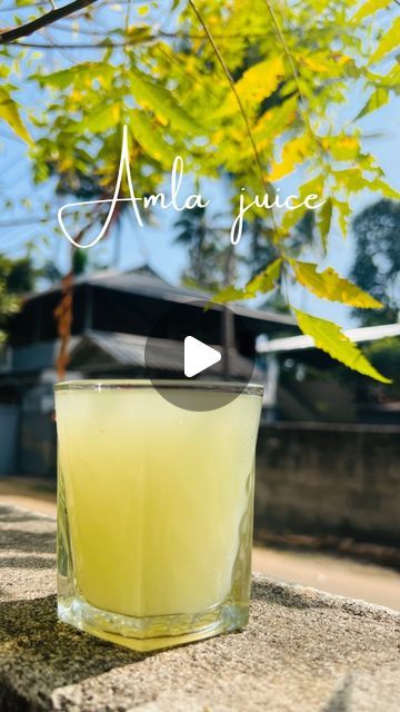 Amla Juice, Ginger Recipe, February 9, Healthy Juices, Lemon Water, Juicing Recipes, Morning Quotes, Good Morning Quotes, Ginger