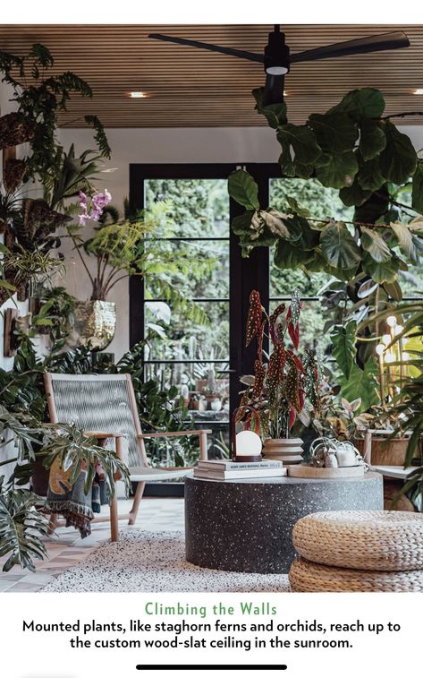 Hilton Carter Home, Hilton Carter Plants, Hilton Carter, Indoor Climbing Plants, Garden Design Pictures, Plantas Interior, Houseplants Decor, Marble Queen Pothos, Jungle Decor