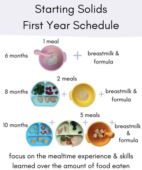 Baby Weaning Foods, Starting Solids Baby, Pediatric Nutrition, Baby Led Weaning First Foods, Parenting Hacks Baby, Easy Baby Food Recipes, Baby Information, Baby Led Weaning Recipes, Healthy Baby Food