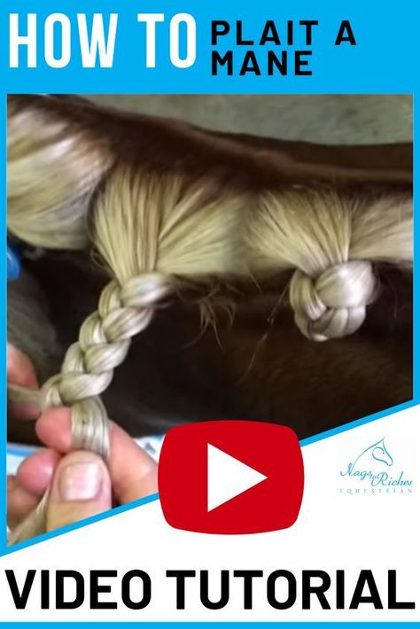 Horse Braids Tutorial, Equestrian Hacks, Mane Braids, How To Bun, Equestrian Tips, Horse Braids, Horse Mane Braids, Horse Hacks, Horse Hair Braiding