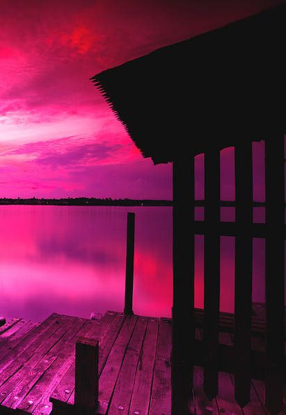 Aesthetic Cybercore, Pink Flower Pictures, Pretty Sunsets, Pink And Black Wallpaper, Pink Sunrise, Pink Board, Notion Dashboard, Rose Fushia, Pink Wallpaper Backgrounds