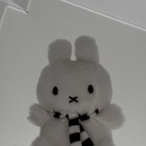 Miffy Pfp, Black And White, White, Black