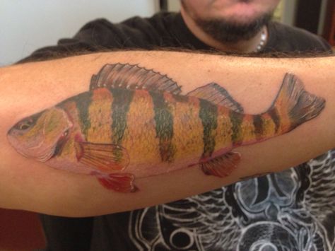 Perch. Done by Ram Lee @ Traverse City Tattoo Perch Tattoo, City Tattoo, Awesome Tattoos, Tat Ideas, Traverse City, Animal Tattoos, Tattoo Studio, Body Art Tattoos, Jesus Fish Tattoo