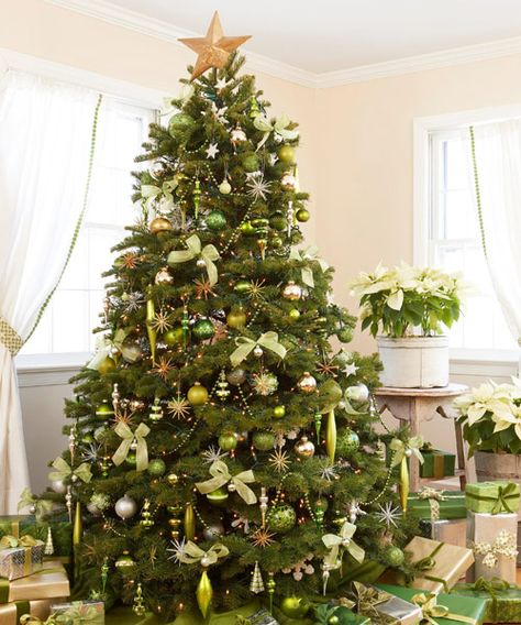 Trimmed in shimmering greens (chartreuse, celadon) and metallics (silver, gold), a twinkling Tannenbaum truly captures the limelight. Pale poinsettias in quiet containers enhance but don't upstage the palette.   - GoodHousekeeping.com Green Christmas Decorations, Green Christmas Tree Decorations, Gold Christmas Tree Decorations, Pretty Christmas Trees, Christmas Tree Pictures, Blue Christmas Decor, Christmas Party Themes, Elegant Christmas Trees, Unique Christmas Trees