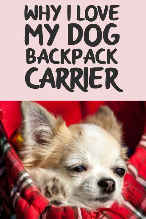 Dog backpack carrier is a type of rag suck that you sit your pet in and carry her in, whether at the front or at the back. Here's what I love about it. Diy Dog Carrier, Pet Carrier Diy, Diy Dog Backpack, Dog Carrier Pattern, Dog Carrying Bag, Dog Backpack Carrier, Dog Travel Accessories, Small Dog Carrier, Dog Carrier Bag