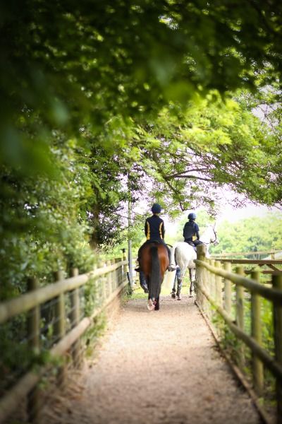 Sidcot Equestrian Centre offers a rare combination – a school livery yard, in the heart of a thriving co-ed day and boarding school, highly commended by BHS. For students who already ride, or who want to learn, Sidcot is a popular choice, as we pride ourselves on our friendly atmosphere for both beginners and experienced riders alike. Find out more about our equestrian offer here 👉 www.sidcot.org.uk/equestrian #horseriding #equestrian #riding #horserider #equestrianlife #equestrianaesthetic Livery Yard, Equestrian Aesthetic, Equestrian Center, Equestrian Riding, Equestrian Life, Boarding School, Horse Rider, Horse Riding, In The Heart