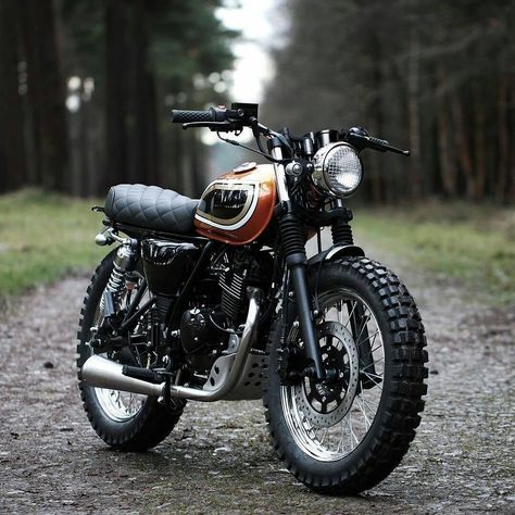 Honda Hornet Cafe Racer, Mutt Motorcycle, Ducati Scrambler Urban Enduro, Cb350 Cafe Racer, Motorcycle Boy, Motorcycle Icon, Bike Motorcycles, Triumph Cafe Racer, Moto Scrambler