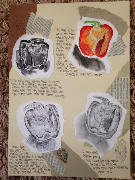 AS Observational Studies #pen #art #collage #studies #drawing #painting #pepper Fruit Study Drawing, Gcse Art Pepper Page, Observational Drawing Gcse, Organic Art Drawing, Food Sketchbook, Gcse Study, Pepper Drawing, Observational Studies, Studies Drawing