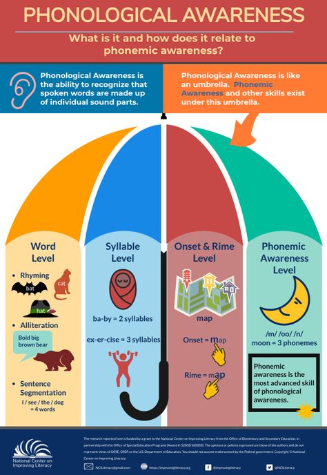 Phonological Awareness: What is it and how does it relate to phonemic awareness? | National Center on Improving Literacy What Is Reading, Phonological Awareness Activities, Brain Learning, Coaching Teachers, Literacy Programs, Phonics Instruction, College Classes, Phonological Awareness, Spoken Words