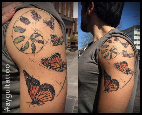 Butterfly Circle Of Life Tattoo, Monarch Chrysalis Tattoo, Butterfly Chrysalis Tattoo, Metamorphosis Tattoo Ideas, Monarch Caterpillar Tattoo, Butterfly Life Cycle Tattoo, Caterpillar To Butterfly Tattoo, Butterfly Metamorphosis Tattoo, Chrysalis Tattoo