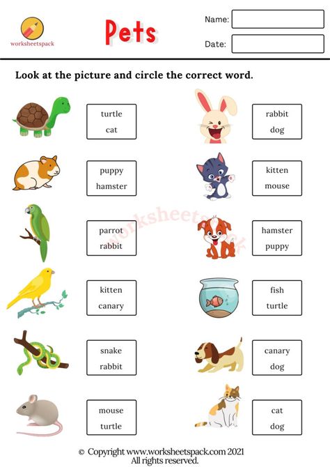 Pets worksheets - Printable and Online Worksheets Pack My Pets Worksheets For Kids, Pet Animals Worksheet, Animal Worksheets For Kids, Pet Worksheet, Culture Worksheet, Pets Worksheet, Animals Worksheet, Easy Kid Activities, English For Kids