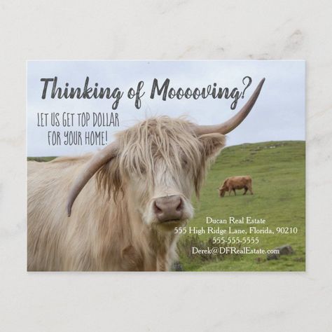 Farm And Ranch Real Estate, Funny Real Estate Postcards, Realtor Career, Easter Real Estate, Real Estate Marketing Gifts, Real Estate Marketing Postcards, Realtor Ideas, Real Estate Marketing Quotes, Postcards Inspiration