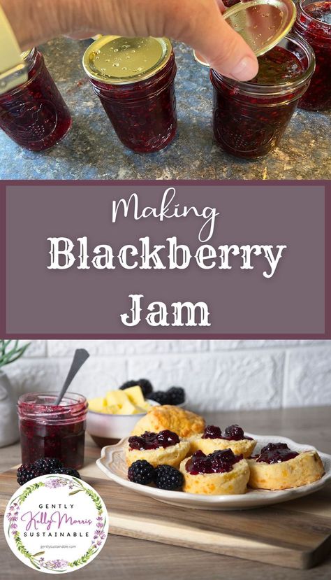 Easy Blackberry Jam, Canning Blackberries, Blackberry Jam Recipe, Water Bath Canning Recipes, Blackberry Jam Recipes, How To Make Jelly, Canning Vegetables, Homemade Jelly, Blackberry Jam