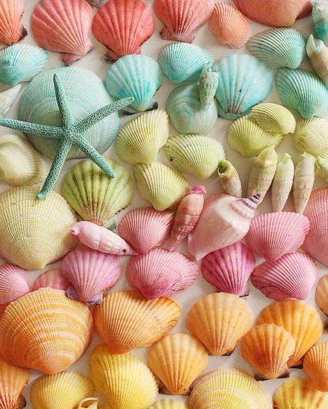 Dyeing seashells is similar to dyeing Easter eggs. This summer, you can display a keepsake from the beach at home in any color you choose. Resin Seashell Crafts, Seashell Crafts Diy, Seashell Projects, Art Coquillage, Shells Diy, Seashell Painting, Shell Crafts Diy, Painted Shells, Shell Decor