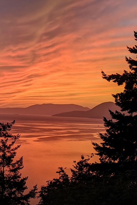 Driving along Chuckanut Drive, towards Larrabee State Park, you will see an inordinate amount of cars parked precariously along the edge. They’re all there for one of Bellingham Washington’s biggest attractions Oyster Dome! #BellinghamExperience #VisitBellingham #Travel #Hiking #Nature #PNW #ExploreWashington #OysterDome #WesternWashingtonUniversity #Photography #FamilyVacations #SeattleDayTrip #WeekendGetAway #VancouverCanadaGetAway #WesternWashington #LarrabeeStatePark #ChuckanutDrive Bellingham Washington Photography, Bellingham Washington Aesthetic, Poulsbo Washington, Western Washington University, Bellingham Washington, Pretty Skies, Paint Inspiration, Western Washington, Hiking Nature