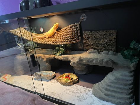 Bioactive Bearded Dragon Enclosure, Aesthetic Bearded Dragon Cage, Bearded Dragon Enclosure Ideas Aesthetic, Bearded Dragon Enclosure Ideas 4x2x2, Beared Dragon Cage Ideas, Beardie Enclosure Ideas, Breaded Dragon Tank Ideas, Diy Bearded Dragon Decor, Bearded Dragon Aesthetic