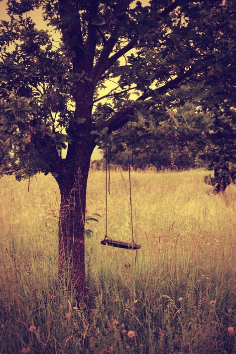 Tree swing Woord Van God, Bohol, Jesus Christus, Faith Inspiration, Le Havre, God Is Good, Country Life, Land Scape, Word Of God