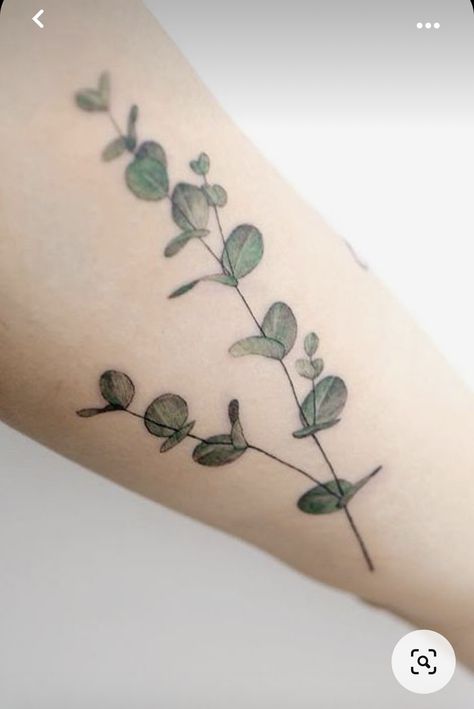 Eucalyptus Tattoo Design, Eucalyptus Tattoos, Eculyptus Tattoos, Eucalyptus Arm Wrap Tattoo, Fern And Eucalyptus Tattoo, Botanical Tattoo Arm Wrap, Lavender Tattoos, Fern Arm Wrap Tattoo, Alocasia Tattoo