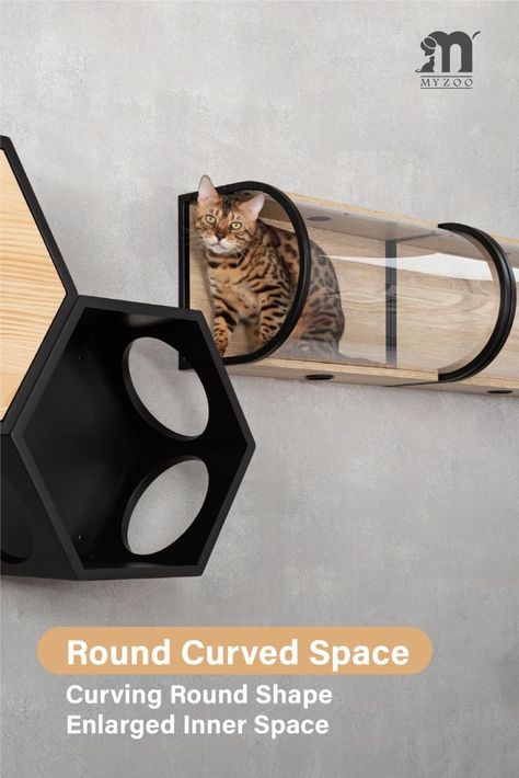 Cat Tunnel, Cat Shelf | TUNNEL | Myzoo Design in 2022 | Cat tunnel, Floating cat shelves, Cat walkway Cat Nook, Cat Tunnel Indoor, Cat Room Diy, Cat Rooms, Cat Walkway, Floating Cat Shelves, Animal Tips, Cat Enrichment, Cat Furniture Design