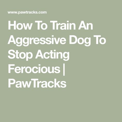 How To Train An Aggressive Dog To Stop Acting Ferocious | PawTracks Aggressive Dog Training, Training Dogs, Aggressive Dog, Strong Feelings, Old Dogs, How To Train, Dog Behavior, Pet Parent, New Tricks