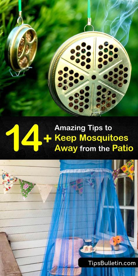 Backyard Mosquito Control, Mosquito Deterrent, Mosquito Dunks, Home Pest Control, Mosquito Repellent Homemade, Diy Mosquito Repellent, Best Mosquito Repellent, Diy Bug Spray, Citronella Candle