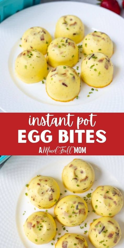 Instant Pot Egg Bites, Starbucks Egg Bites, Egg Bites Recipe, Gluten Free Breakfast, Sous Vide Cooking, Family Eating, Egg Bites, Easy Instant Pot Recipes, Instant Pot Dinner Recipes