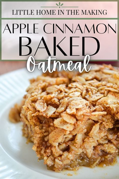 Gluten Free Apple Baked Oatmeal, Apple Cinnamon Baked Oatmeal Healthy, Double Apple Baked Oatmeal, Overnight Oats With Apples And Cinnamon, Crockpot Breakfast Oatmeal, Baked Apples With Oatmeal Filling, Baked Oatmeal With Fruit, Baked Apples And Oats, Apple Crisp Baked Oatmeal