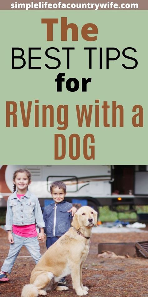 RVing with a dog Rv'ing With Dogs, Rv With Dogs, Rv Camping With Dogs, Fun Camping Activities, Rv Dog, Camper Dog, Pet Enclosures, Traveling With Pets, Living In An Rv