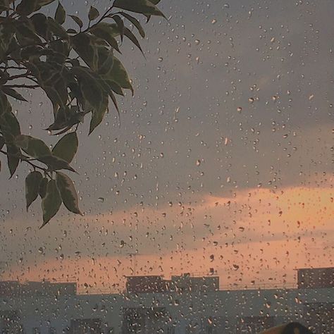 𝑷𝒊𝒏𝒕𝒆𝒓𝒆𝒔𝒕: 𝒉𝒐𝒏𝒆𝒆𝒚𝒋𝒊𝒏 ❀ Kaktus Dan Sukulen, Rain Aesthetic, Back Ground, Playlist Covers, Foto Vintage, Rain Drops, Sky Aesthetic, Aesthetic Photo, Aesthetic Photography