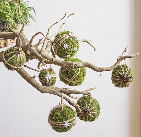 Julkransar Diy, Diy – Velikonoce, Diy Tree Decor, Easter Tree Ornaments, Moss Decor, Easter Tree Decorations, Xmas Deco, Moss Balls, Christmas Potpourri