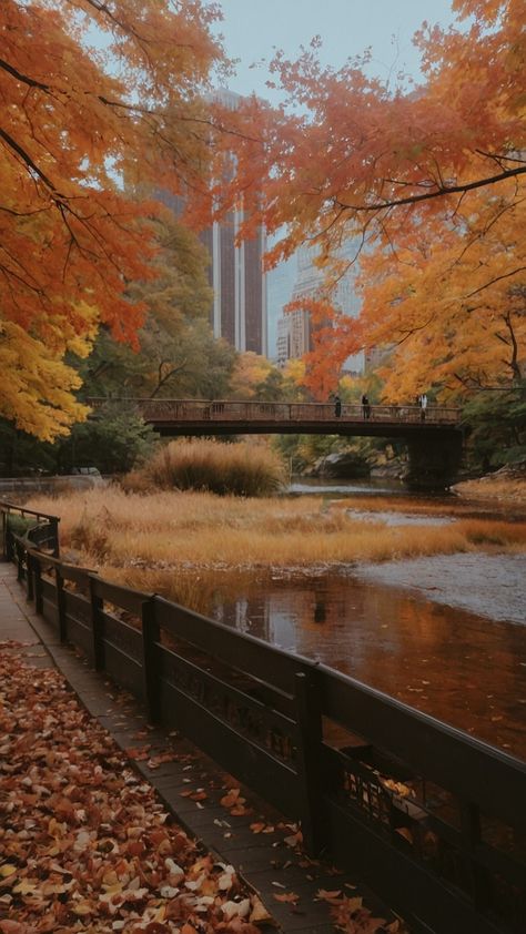 Experience the autumn in New York aesthetic with our latest blog post featuring a cinematic look at the city From cozy outfits to film-inspired wallpaper there's nothing quite like the city's movie aesthetic Discover the essence of New York through our curated collection of quotes and imagery Explore the elegance of fall in the concrete jungle Autumn In New York Aesthetic, Corner Aesthetic, Wallpaper Macbook, Aesthetic Places, Inspired Wallpaper, Movie Aesthetic, Nyc Style, Cozy Outfits, York Aesthetic