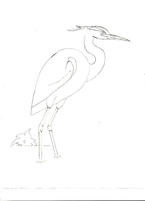 Drawing Guide - The Making Of Blue Heron - Pxleyes.com How To Draw A Blue Heron, Nana Painting, Black And White Reference, Watercolor Birds Tutorial, Blue Heron Art, 365 Days Of Art, Pencil Skills, Art Of Animals, Florida Birds