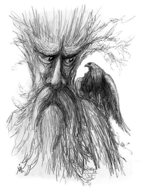 Tree Beard, Bigfoot Drawing, Crayola Box, Fantasy Houses, White Character, Landscape Pencil Drawings, Tolkien Art, Lotr Art, Scribble Art