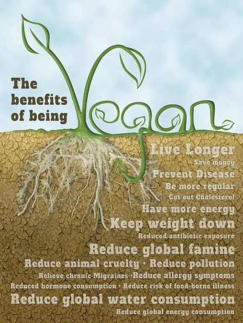 vegan: the benefits of being vegan. Benefits Of Being Vegan, Vegan Info, Reasons To Go Vegan, Vegan Tips, Food Benefits, Vegan Facts, Tomato Nutrition, Calendula Benefits, Fruit Health Benefits