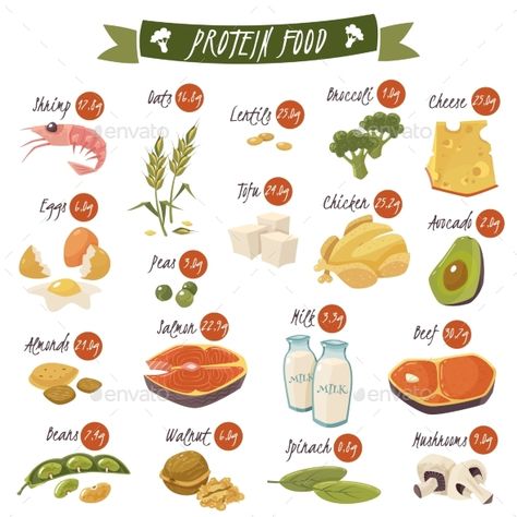 Protein Rich Food Flat Icons Set Protein Rich Food, High Sources Of Protein, Good Protein Foods, Healthy Beans, Rich Food, Protein Food, Protein Desserts, Flat Icons Set, Protein Rich Foods