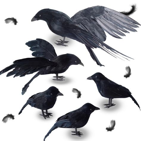 PRICES MAY VARY. [Realistic Assorted Size Halloween Crows] These 5 artificial Halloween crows are crafted with real feathers and featuring realistic eyes, which gives you true animal touch. These Halloween crows props bring an eerie vibe to any indoor and outdoor Halloween decorations. [Assorted Poses Halloween Props Crows] You will get 5 crows props with assorted poses: 1 big size crow and 1 medium size crow spreading the wings, 3 small size crows standing and resting. These Halloween yard deco Haloween Decor, Raven Decor, Crow Costume, Halloween Raven, Halloween Party Props, Haunted House Props, Black Birds, Outdoor Party Decorations, Black Crow