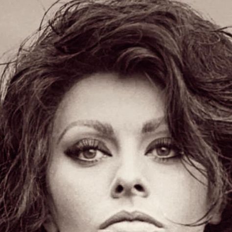 Jan Stevens on Instagram: "One of my favourite photos (from “Arabesque” 1966). ❤️ Sophia! #sophialoren #sofialoren #italiancinema #retro #beauty #vintage #icon #diva #styleicon #screengoddess #classichollywood #cinemaitaliano" Jan Stevens, Sofia Loren, Retro Beauty, November 1, Sophia Loren, Arabesque, Classic Hollywood, Style Icon, My Favourite