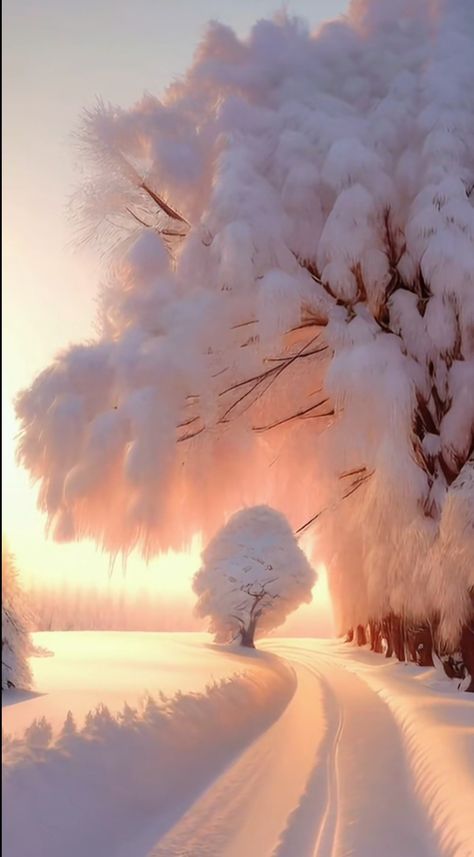 Pretty Landscapes, Amazing Nature Photos, Winter Scenery, Images Esthétiques, Winter Pictures, Beautiful Scenery Nature, 판타지 아트, Pretty Wallpapers Backgrounds, Dreamy Art