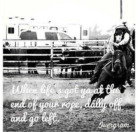 Ready to hit it hard again with my new foubd motivation!!!!!! Whhhhaaaatttt!!! Roping Quotes, Rodeo Quotes, Team Roper, Cowboys And Angels, Cowboy Quotes, Cowgirl Quotes, Rodeo Horses, Team Roping, Barrel Horse