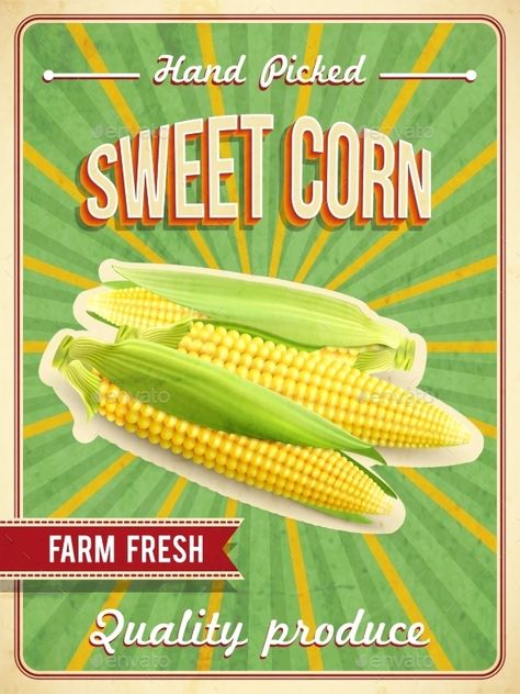 Sweet Corn Poster Corn Poster, Pumpkin Vector, Butterfly Life Cycle, Infographic Design Inspiration, Vintage Cafe, Corn On Cob, Food Packaging Design, Fresh Corn, Sweet Corn