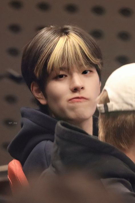 Seungmin Puppy, I Love You Puppy, Kim Seungmin, Skz In Cute, Savage Kids, Stray Kids Seungmin, The Perfect Guy, Homeless Children, World Domination