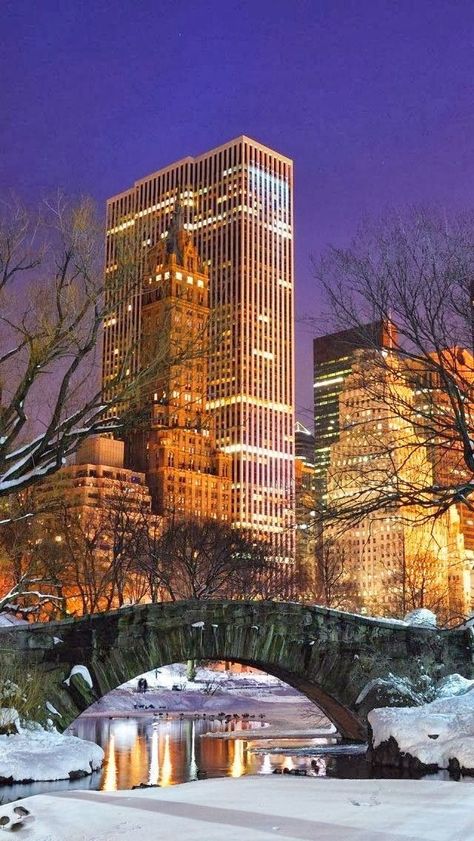 #CentralPark en Invierno, consejos de viaje y todos los lugares para visitar en #NuevaYork en www.nuevayork.travel/que-ver-en-nueva-york/ #turismo #viajar #guia Kota New York, Central Park Winter, Voyage New York, New York City Manhattan, City That Never Sleeps, A Bridge, Night City, City Aesthetic, Oh The Places Youll Go